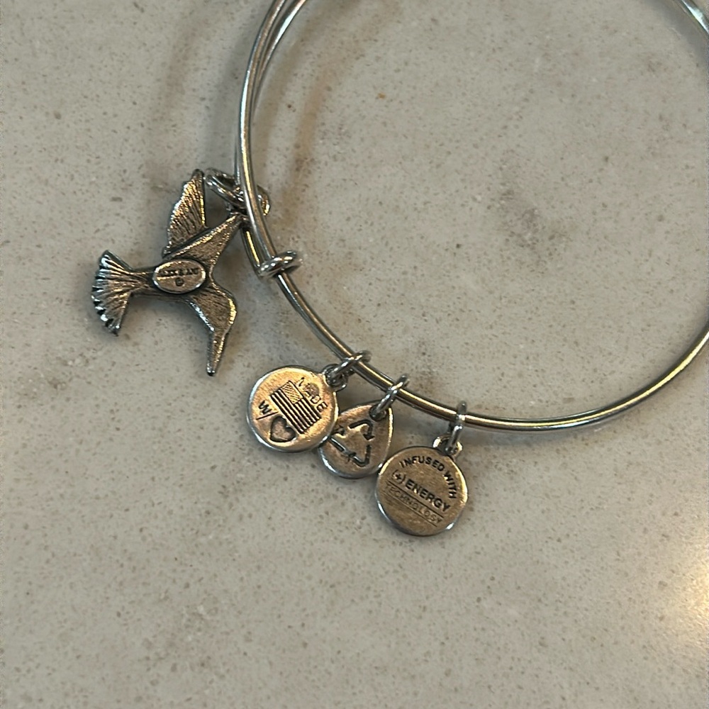 Alex and Ani Humminbird bangle adjustable bracelet silver - Picture 4 of 5